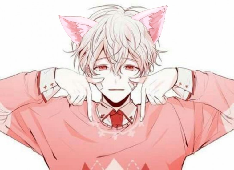 Аниме куны омежки