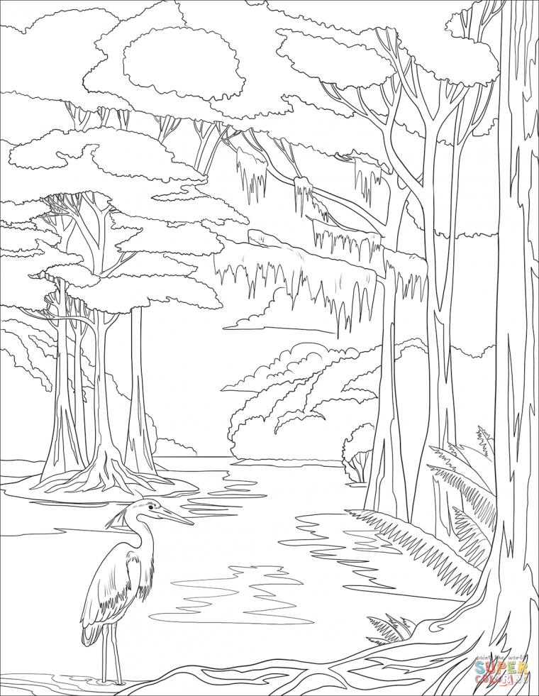 Раскраска "Дикие животные"