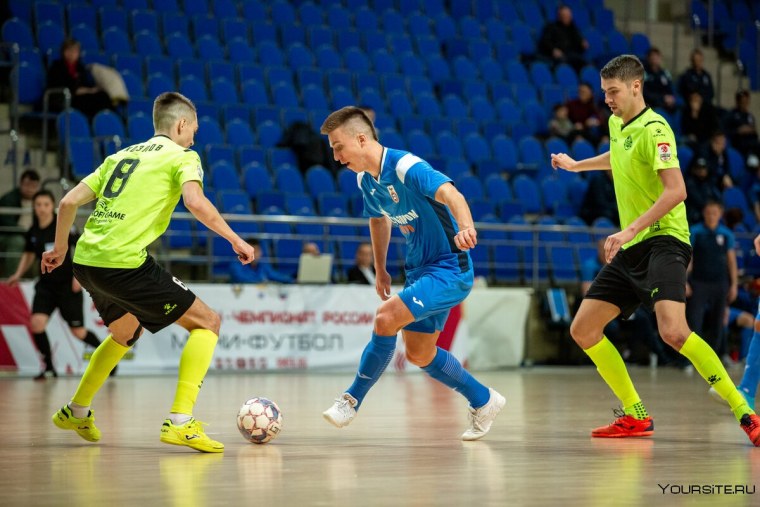 Мини футбол футзал