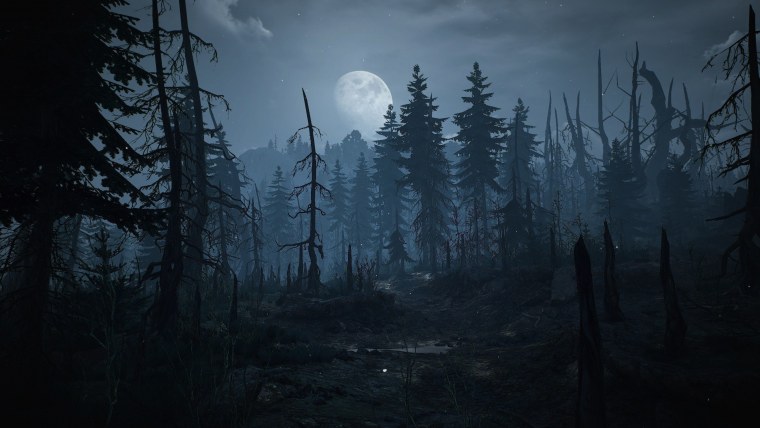Лес темный Ведьмак 3