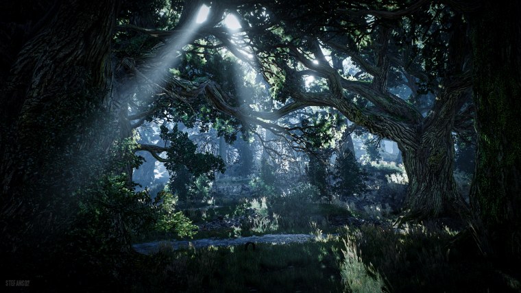 Ведьмак 3 Дикая охота лес