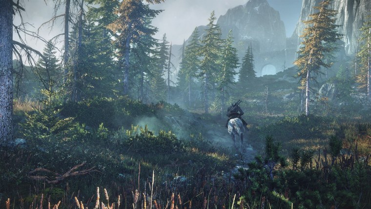 Ведьмак 3 Дикая охота пейзажи