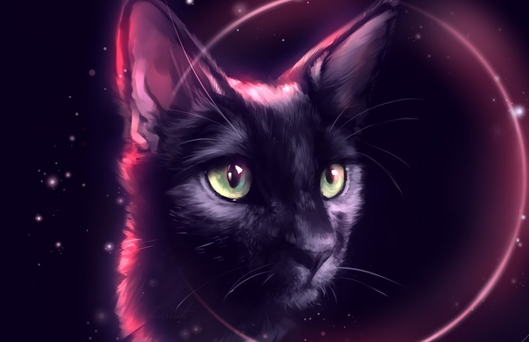 Крутая кошка арт