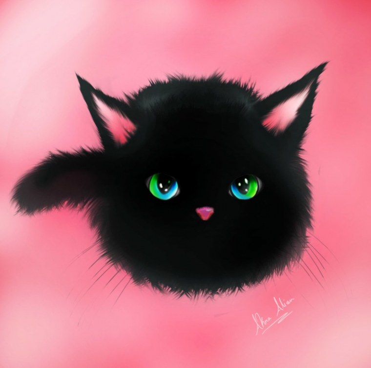 Черная кошка аниме