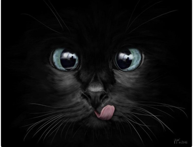 Аватар черная кошка