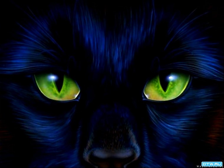 Аватар черная кошка