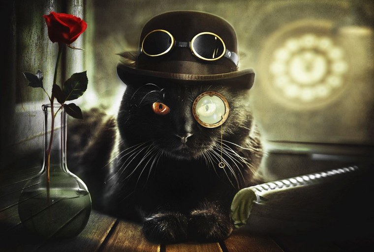 Черный кот в шляпе