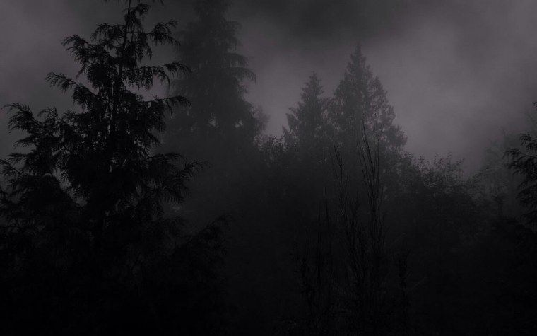 Atmospheric Black Metal лес