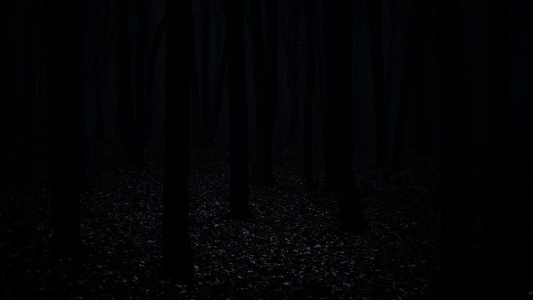 Темная роща