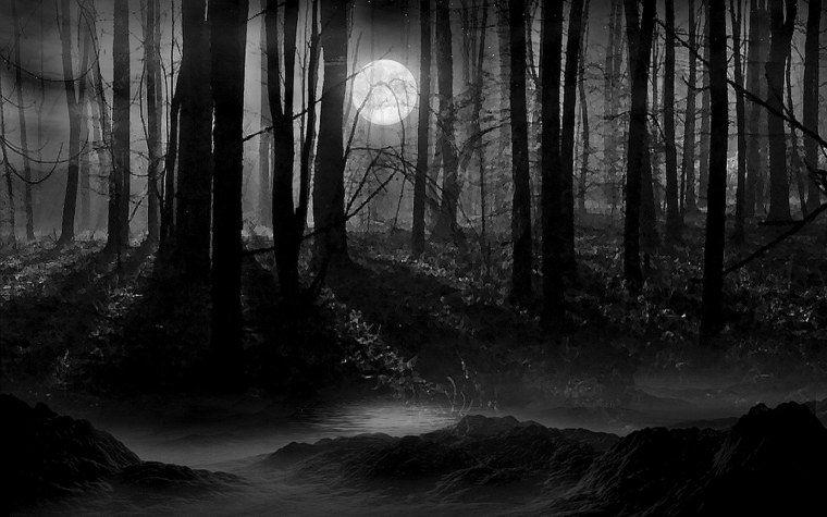 Шварцвальд лес мрачный