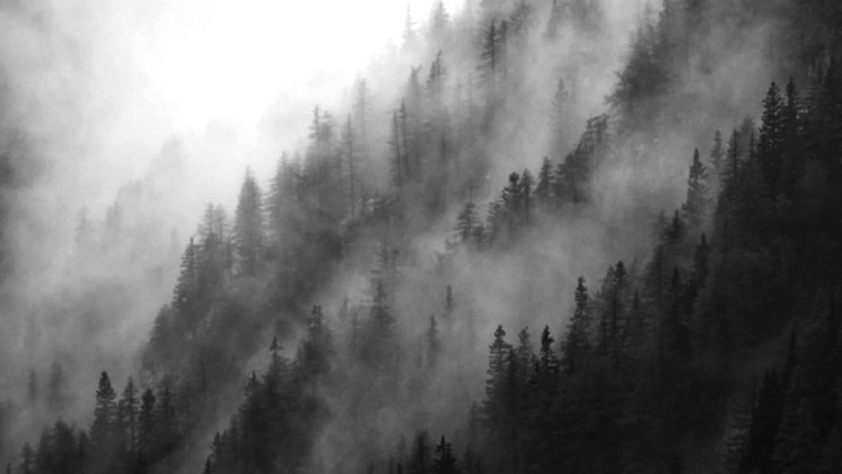 Atmospheric Black Metal лес