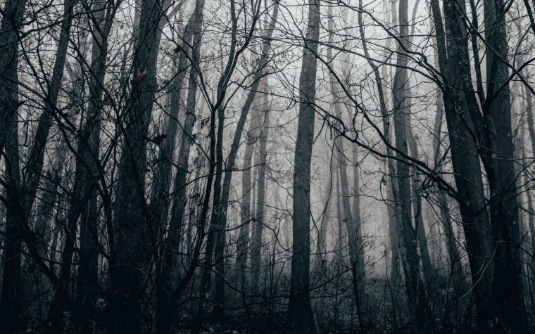 Мрачные цвета