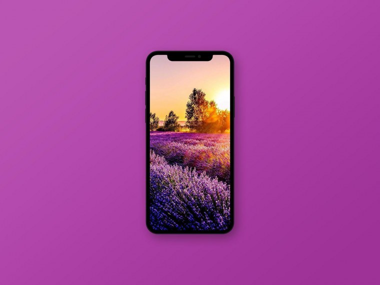 Обои на айфон XR