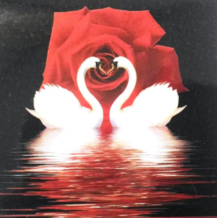 Алмазная мозаика картина Лебединая верность