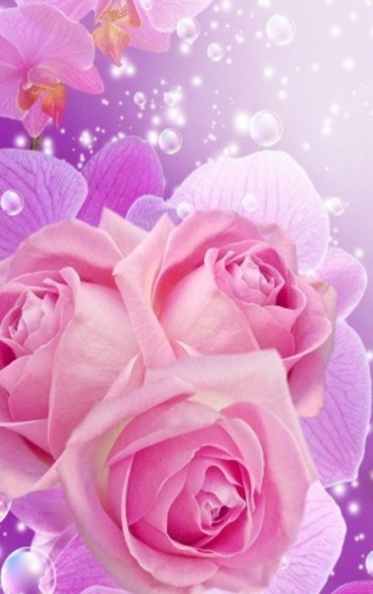 Красивые цветы вертикально