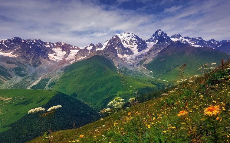 Альпийские Луга Северного Кавказа
