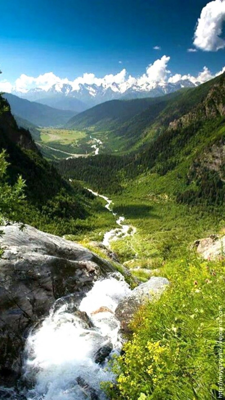 Кавказ тоолору