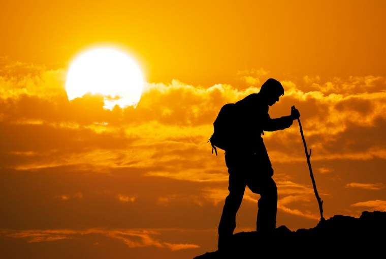 Странник путешественник