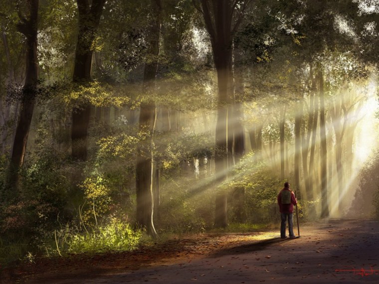 Одинокий человек в лесу