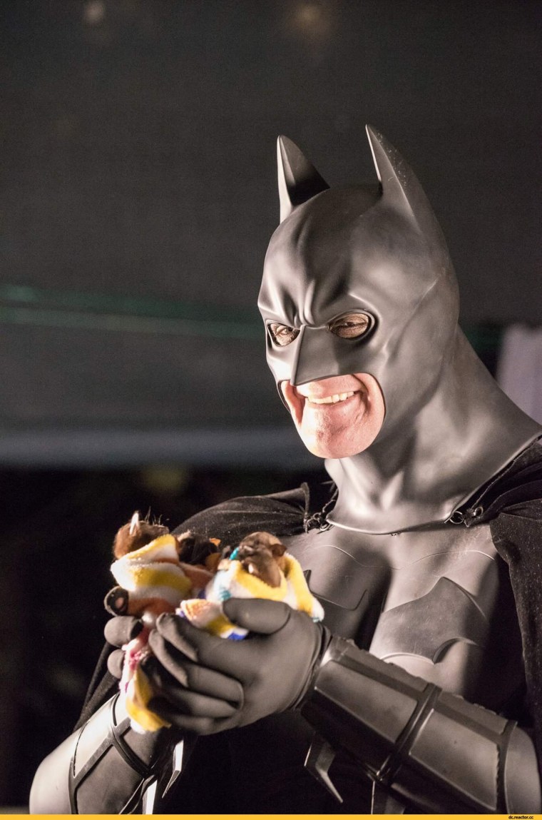 Летучая мышь Бэтмен