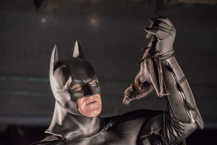 Бэтмен смешные картинки