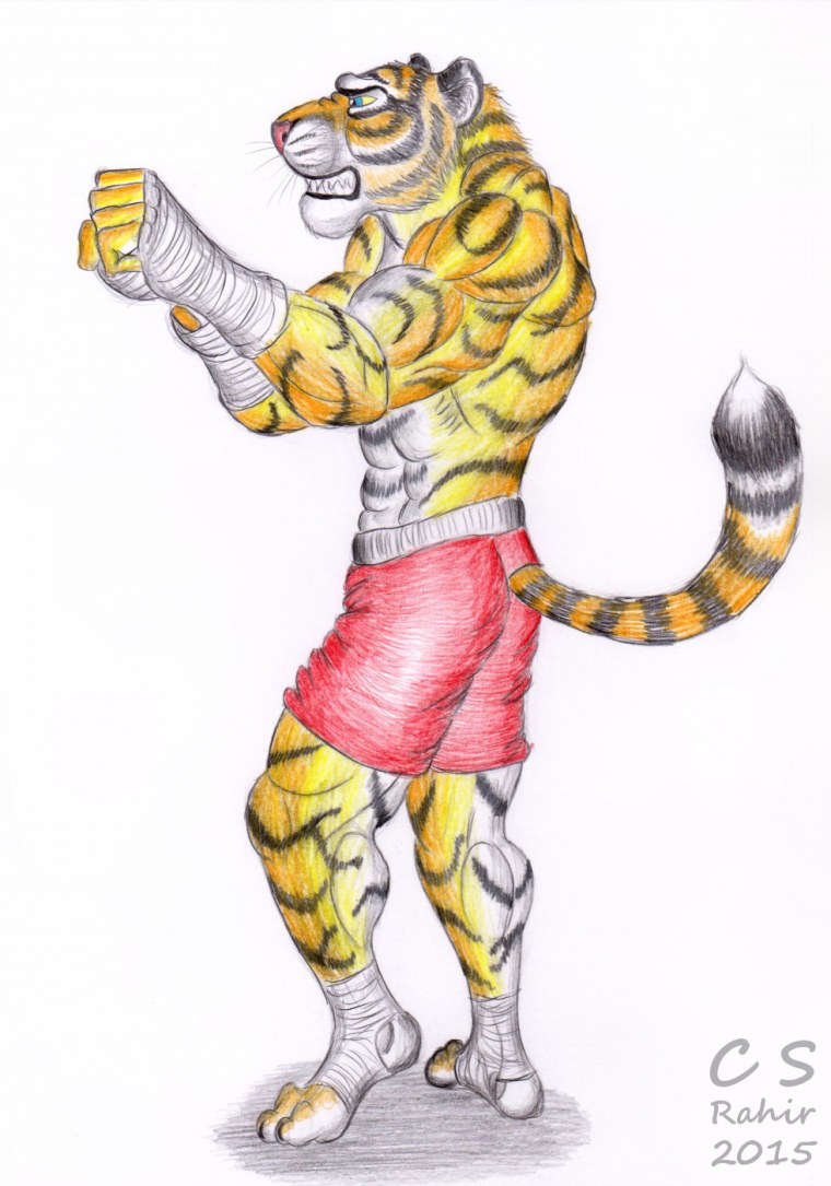 Фурри боксер арт