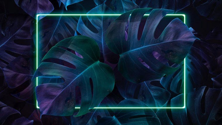 Фон для презентации по биологии