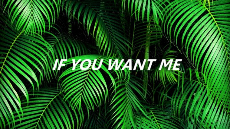 Тропические листья на черном фоне