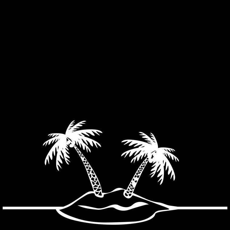 Пальма на темном фоне