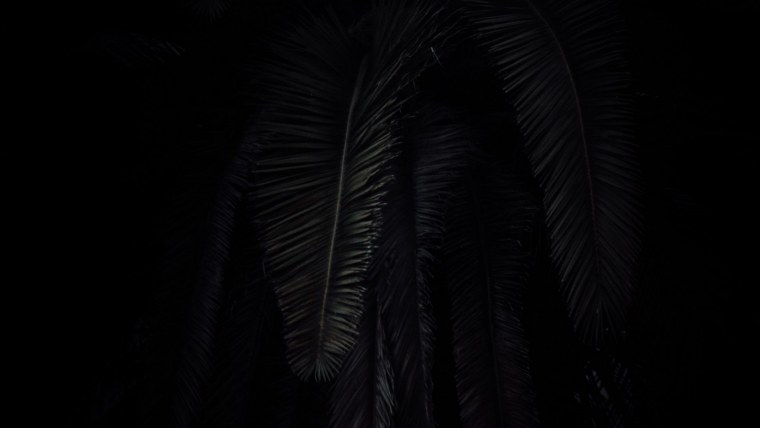 Темные обои на айфон