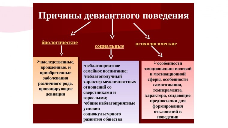 Целевая аудитория