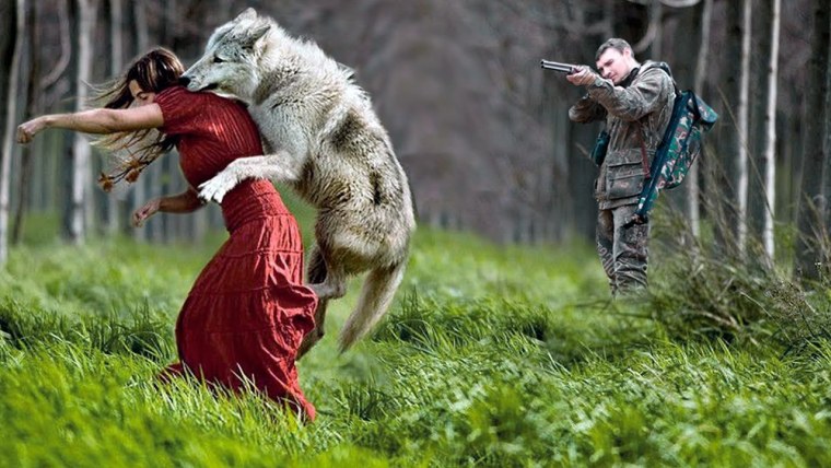 Наполовину волк наполовину человек