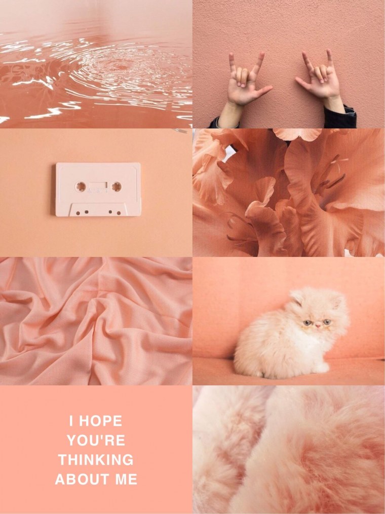 Хлоя вевриер секретарша