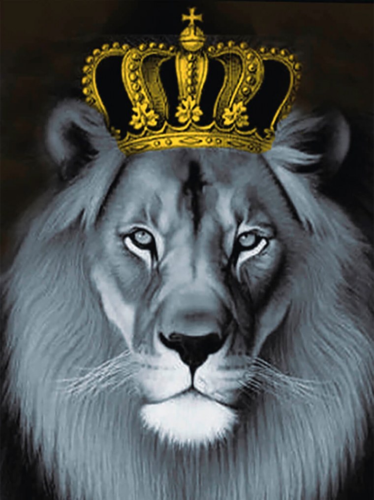 Алмазная мозаика Лев
