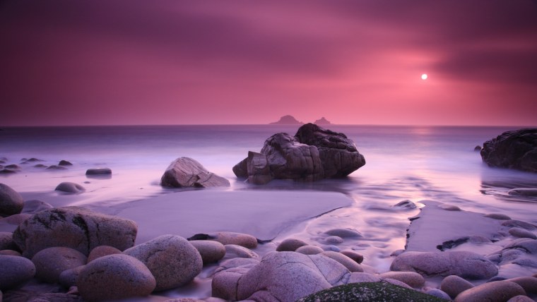 Фиолетовый пейзаж