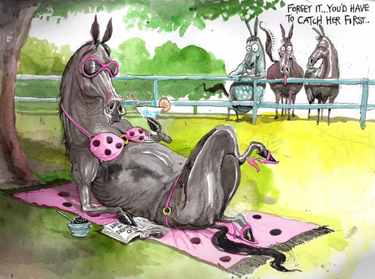 Лошадь прикольная рисунок