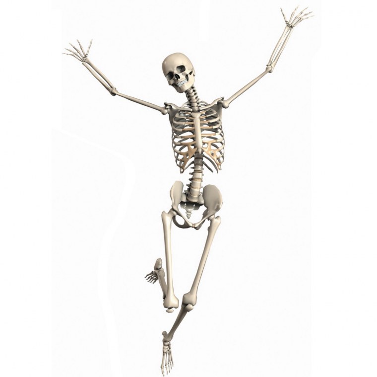 Скелет танцует
