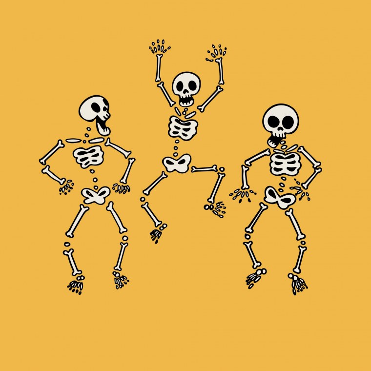 Скелет рентген