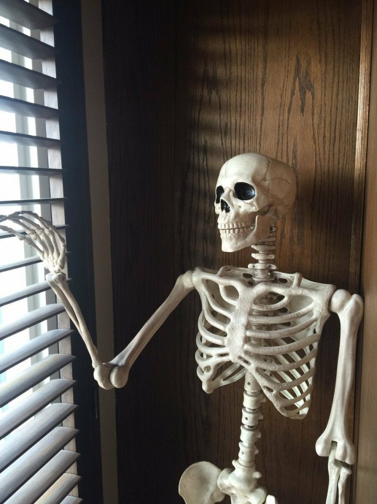 Визер скелет арт