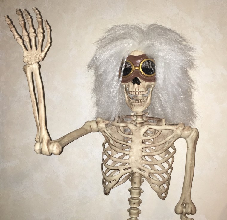 Скелет человека