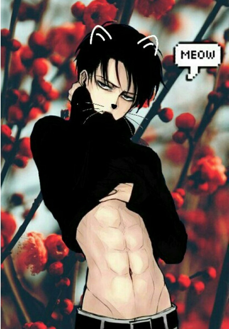 Тодороки шото