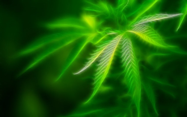 Неон зеленый цвет канабис лист