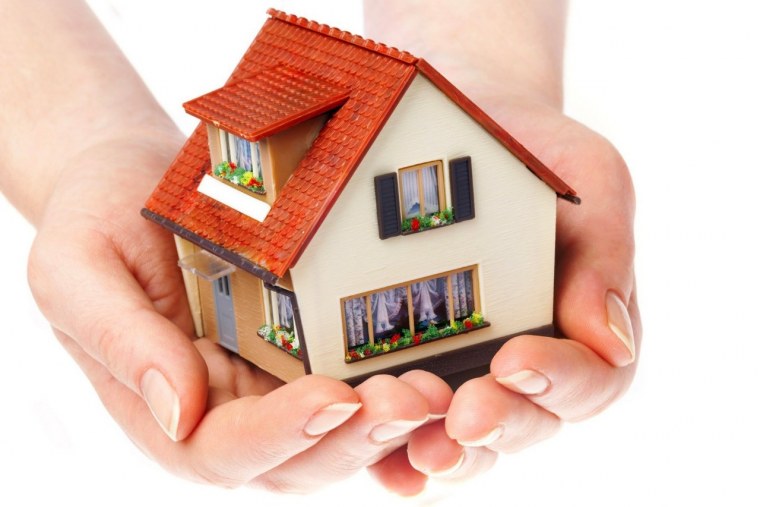 Кэри т. "домашняя оранжерея"