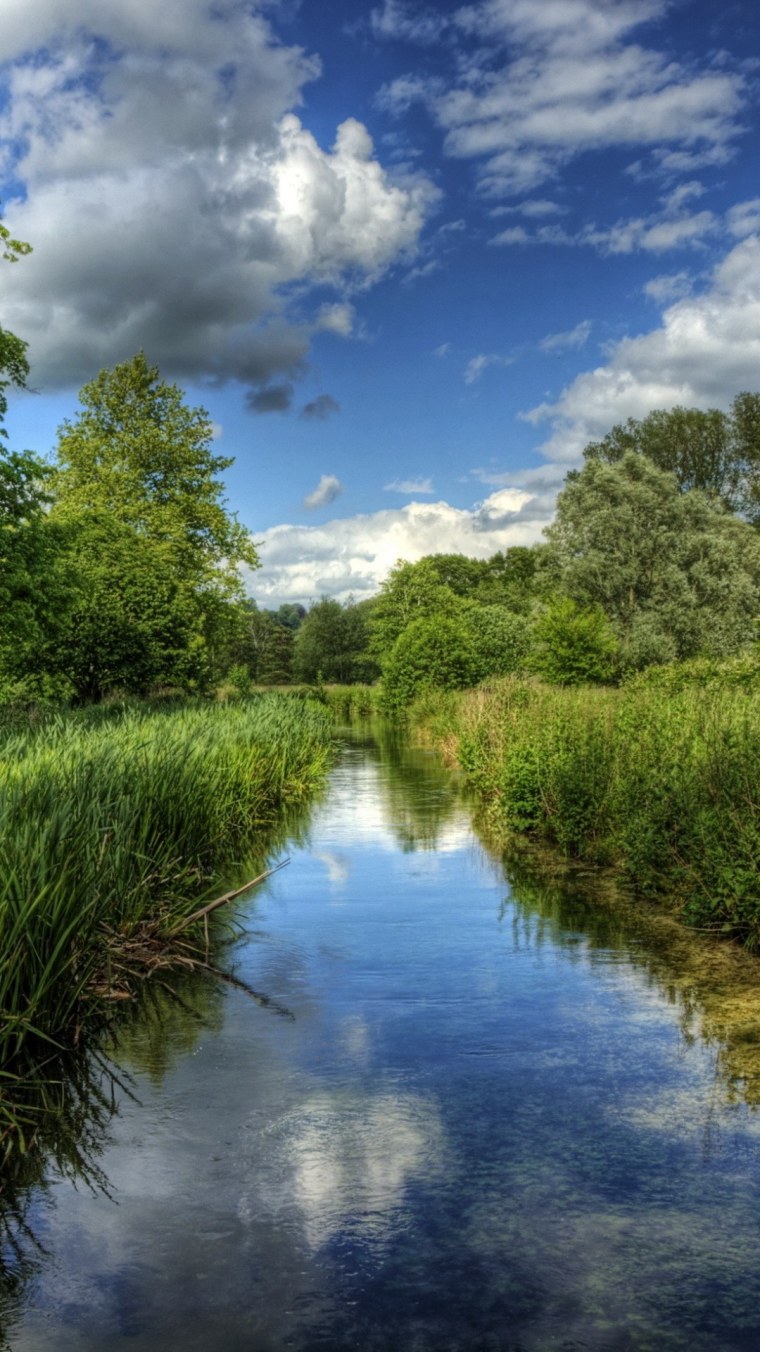 Пейзаж лето