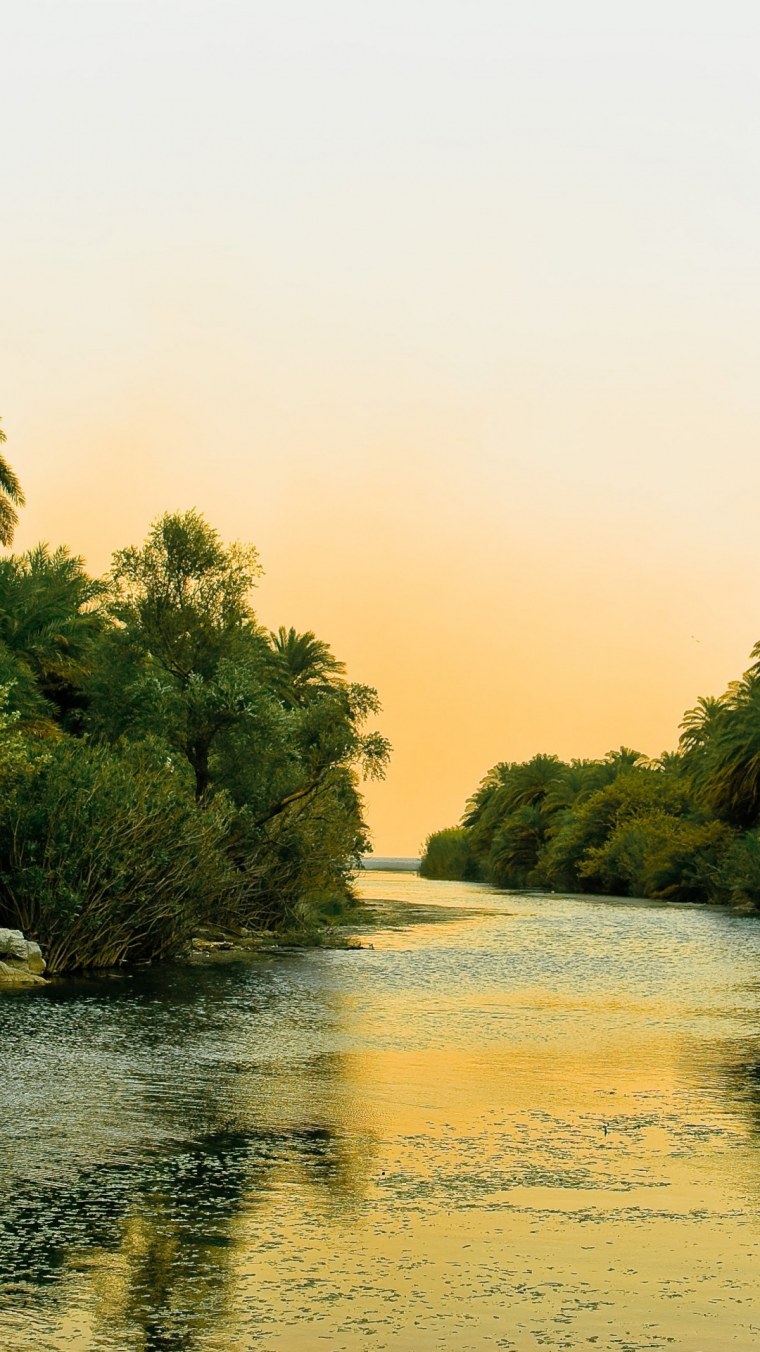 Осенний лес с речкой