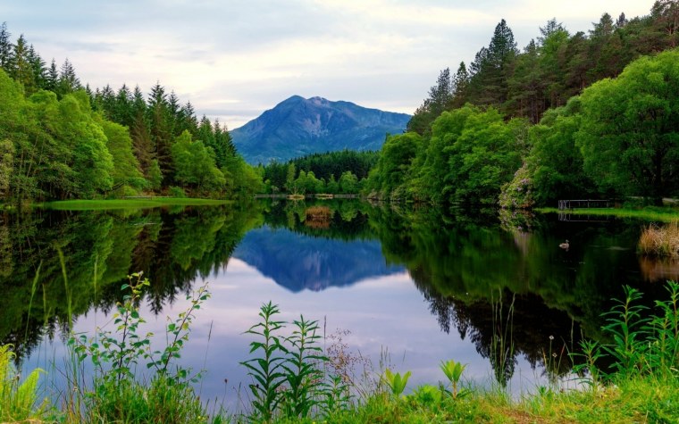 Карелия лес река