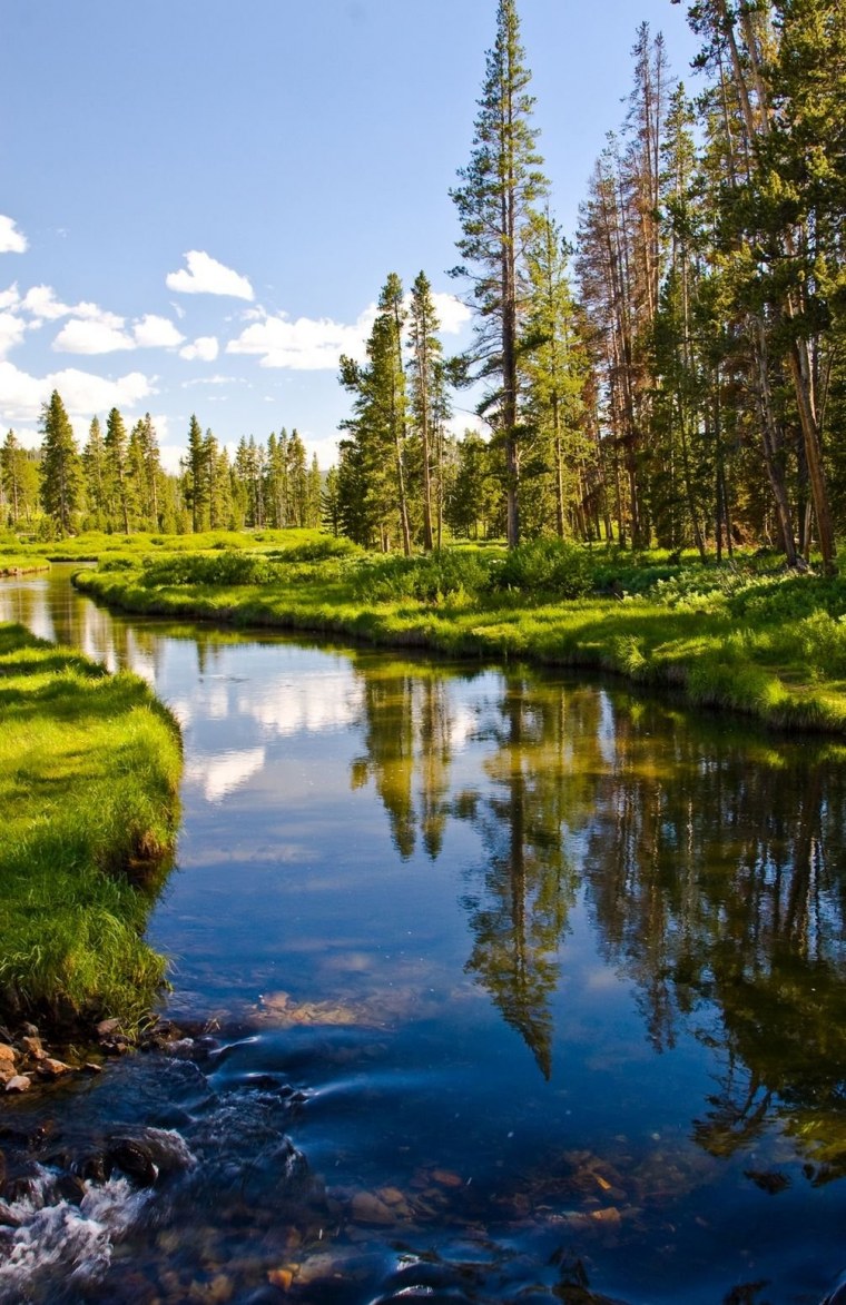 Национальный парк Джаспер река Атабаска