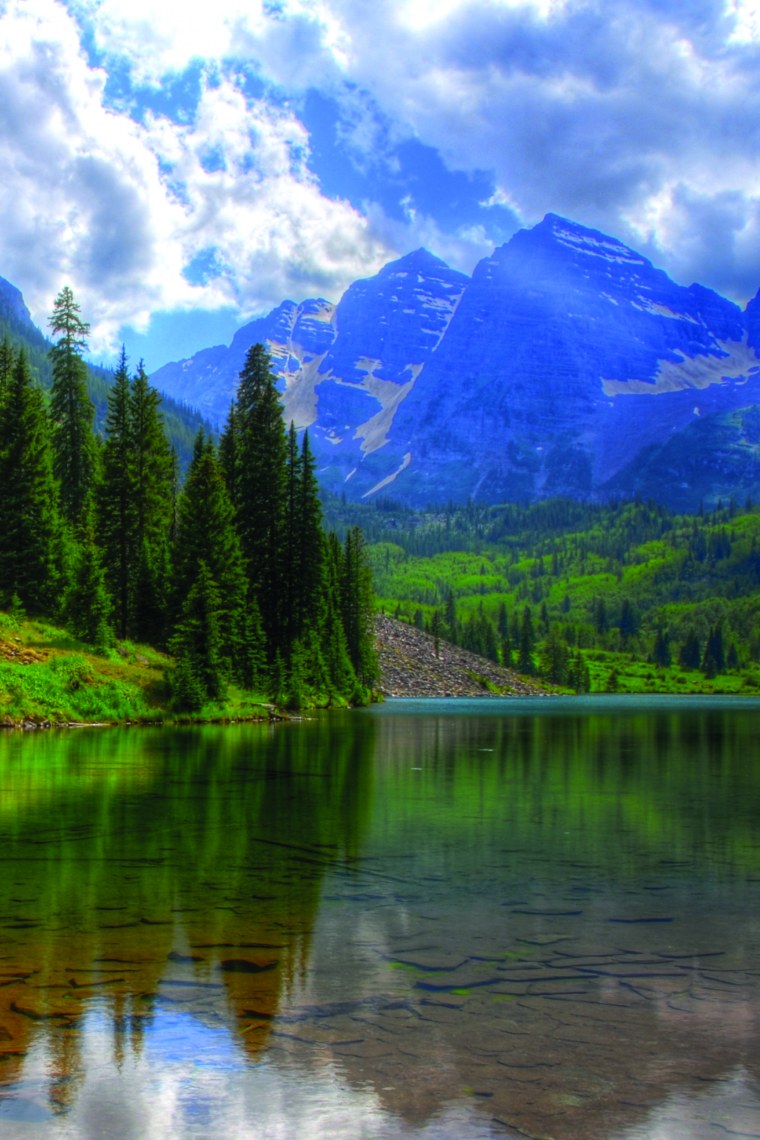 Лесная река