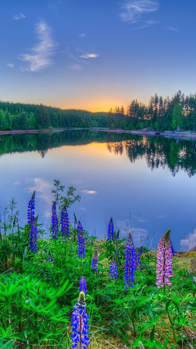 Красивый вид на озеро