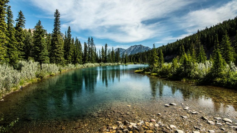 Осенний лес